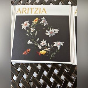 Aritzia small gift box